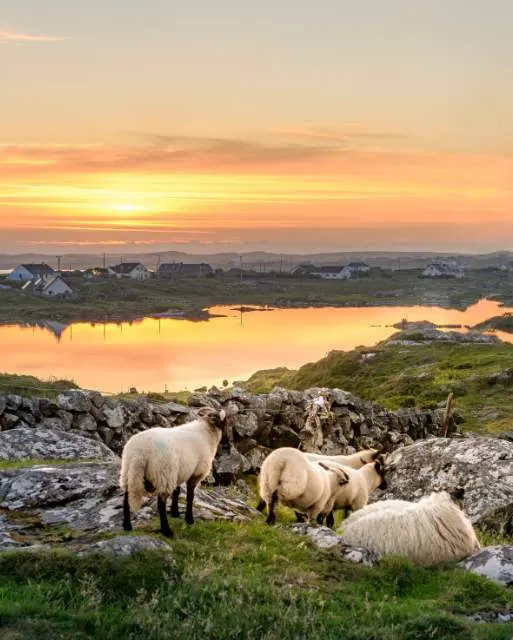 Connemara, County Galway
