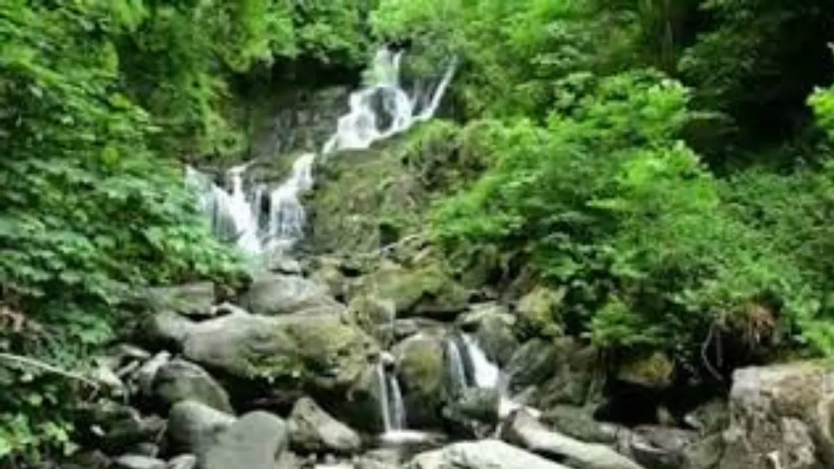 Cascading waterfall through moss-covered rocks surrounded by dense green forest