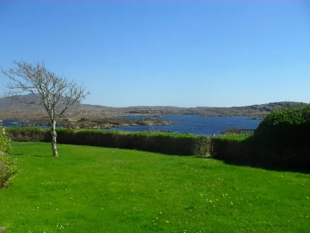 Green lawn with tree overlooking lake and hills under blue sky