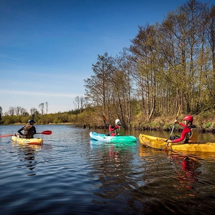 Three kayakers paddling colorful kayaks on calm water near bare trees