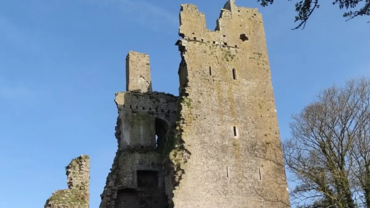 County Laois Ireland