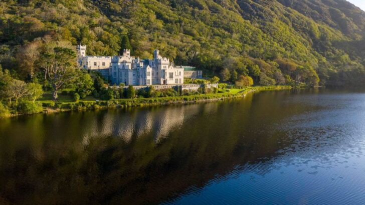 Who Is Love Ireland?