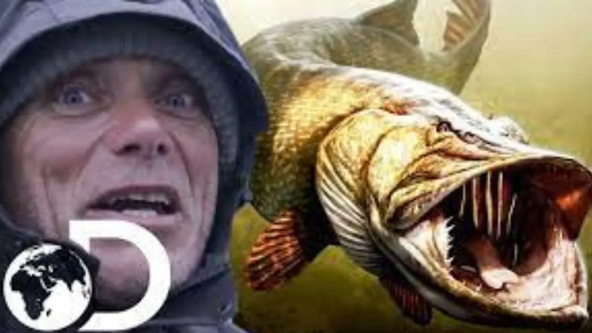 Legendary Giant Pike In Ireland |Lough Dergh