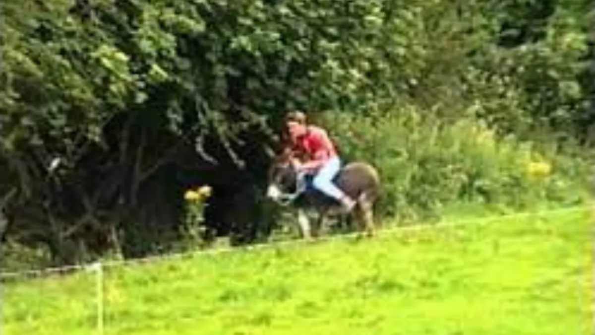 Castletown Donkey Derby