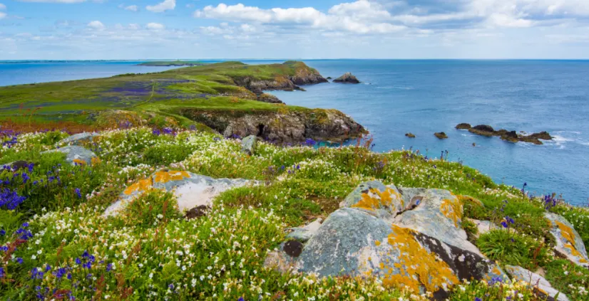 The Ultimate Ireland Guide