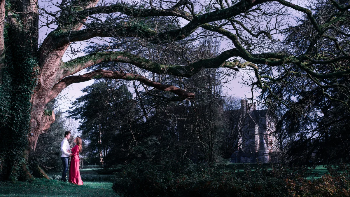 We Need Your Help To Find The Most Romantic Valentine's Day In Ireland