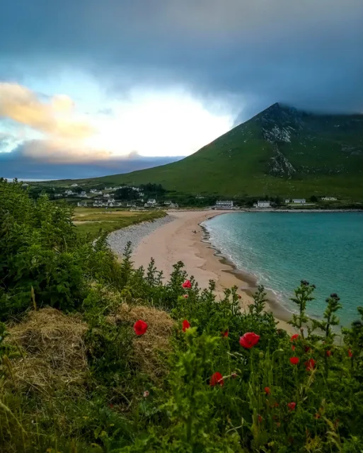 Move to Ireland? Our 1.2 Million Followers Answered