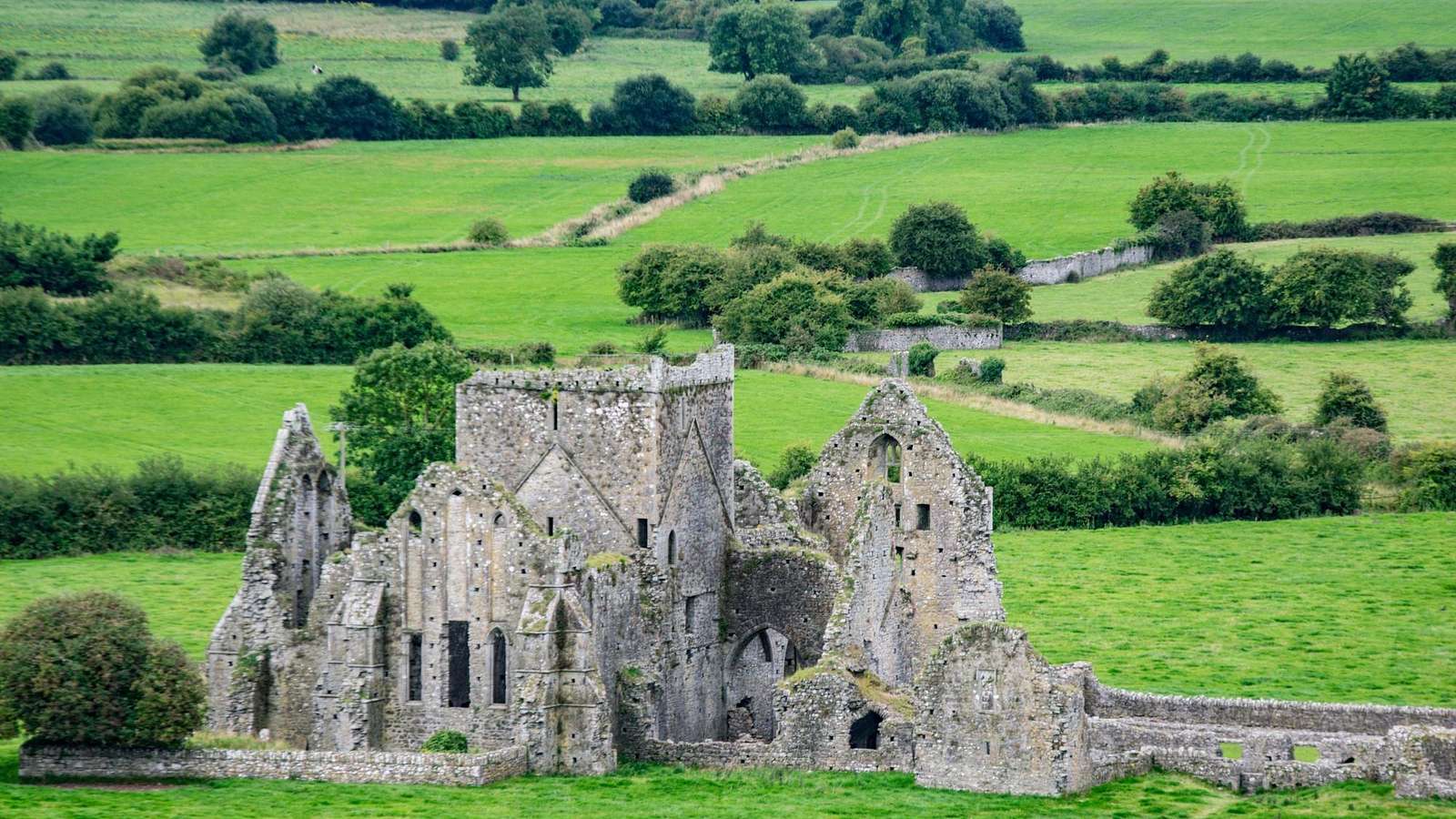 Ancient ruined Irish abbey surrounded by green fields, evoking centuries of Irish heritage and tradition