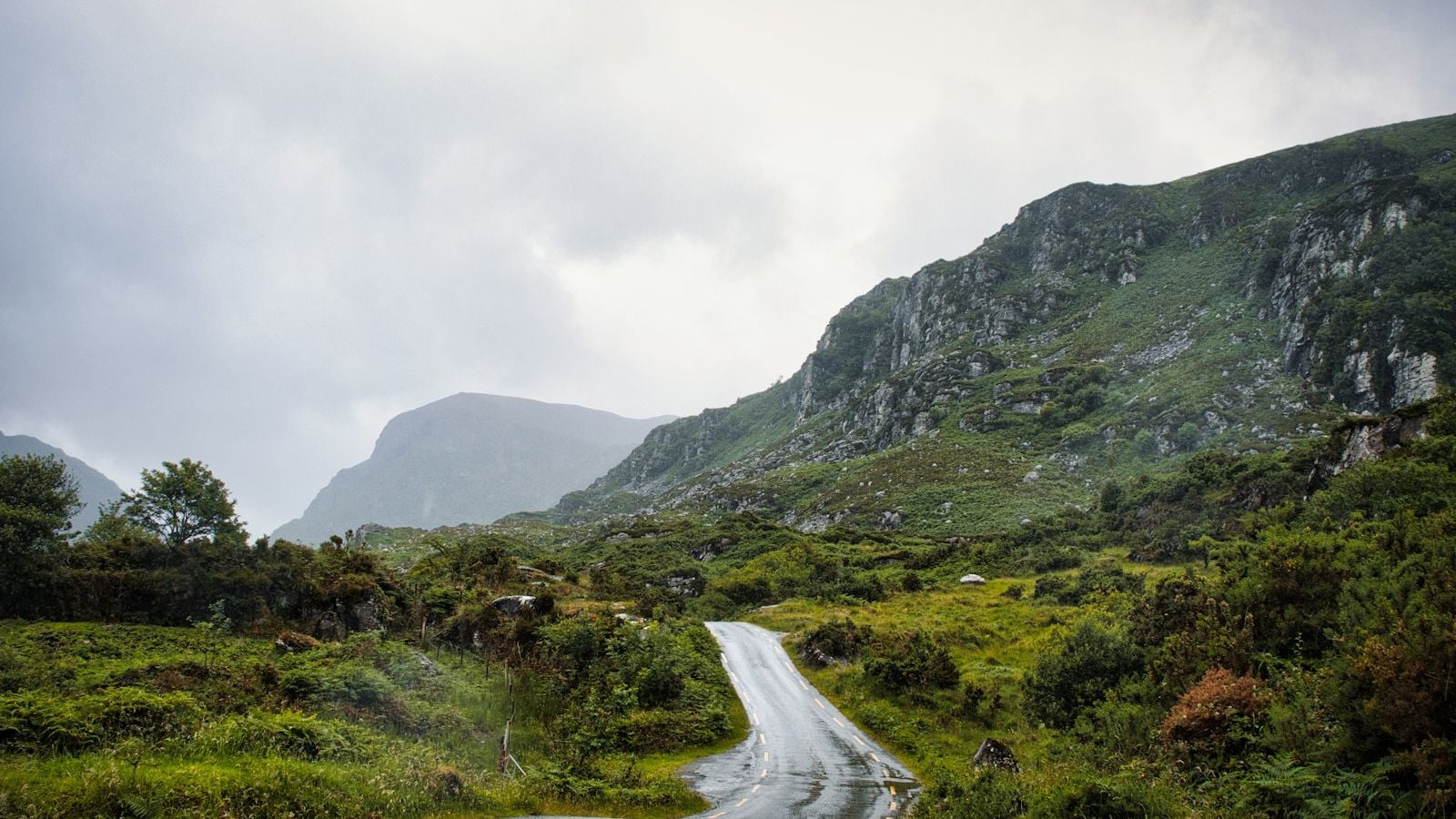 A winding road cutting through lush green Irish countryside