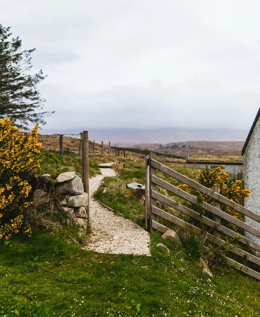 Best Pubs in Letterkenny: Where to Find the Craic