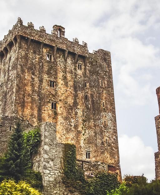 Brandon Hill Walk: A Hiker&rsquo;s Guide to Kilkenny&rsquo;s Scenic Landscape