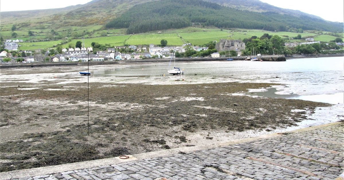 View west across Carlingford Harbour in County Louth, Ireland