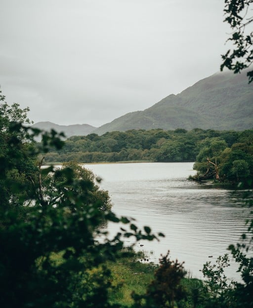 Celebrating Irish Culture: A Guide to Festivals in Ireland