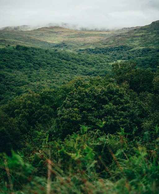 Exploring the Beara Peninsula: Ireland&rsquo;s Hidden Treasure