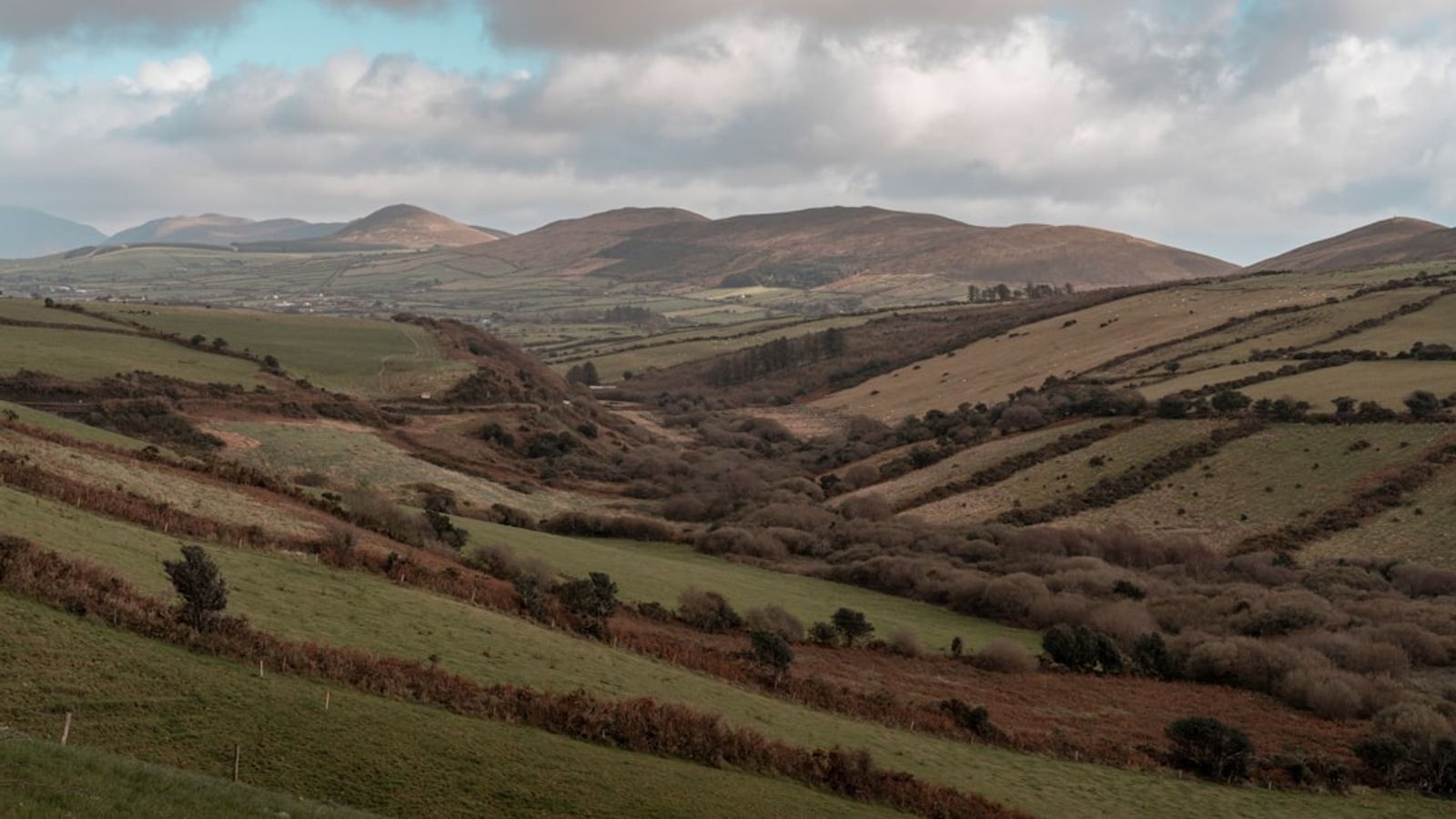 Rolling green hills and dry stone walls in the Irish countryside, the landscape of the hedge schools