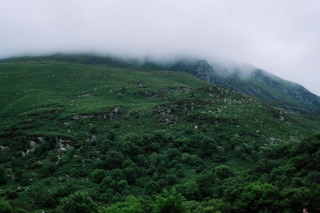 Misty mountain slope with dense green forest and exposed rocky outcrops