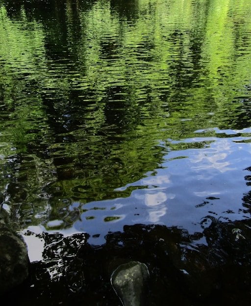 Irish lake and woodland &mdash; the Fermanagh Lakelands