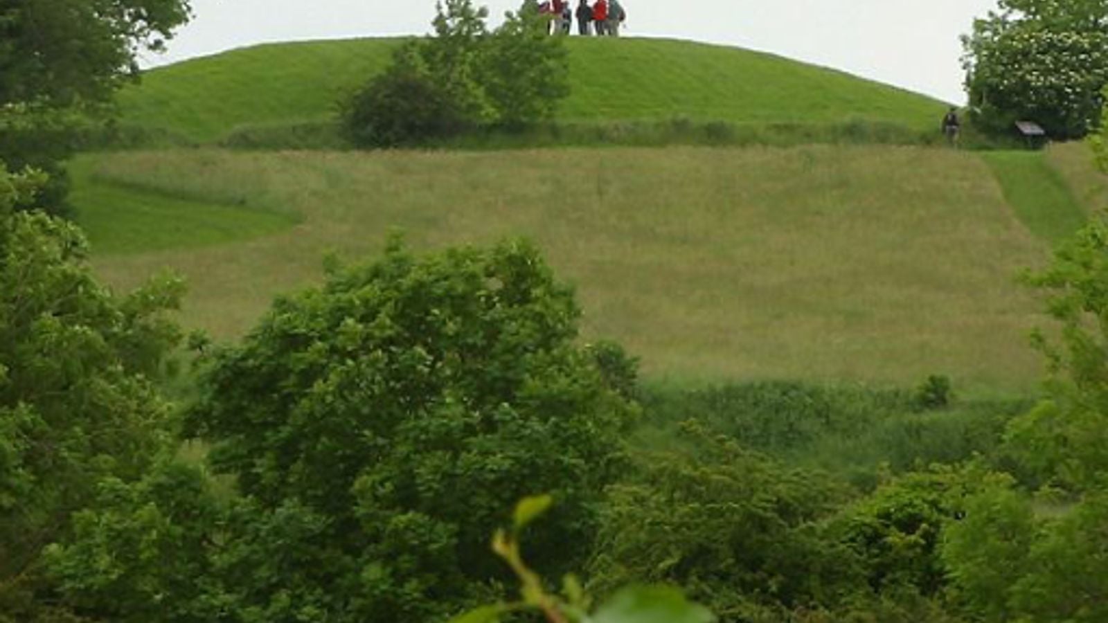 The ancient earthwork mound of Emain Macha (Navan Fort) in County Armagh, Ireland, rising above the surrounding trees