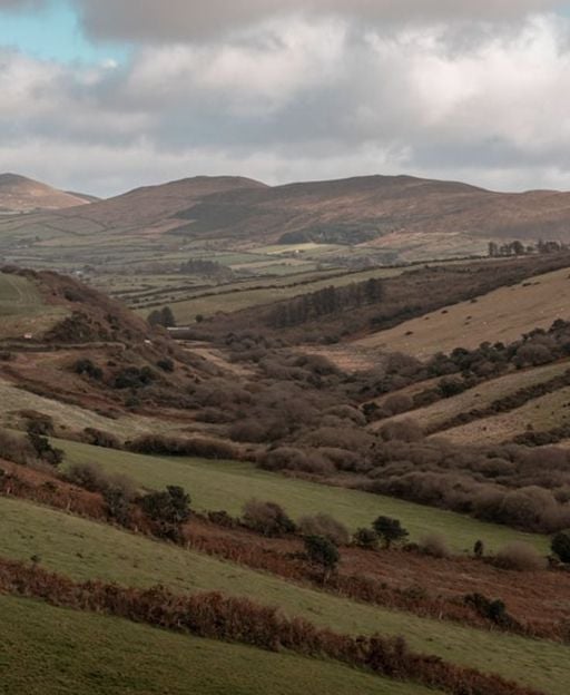 Rolling green hills and stone walls in the Wexford countryside, Ireland