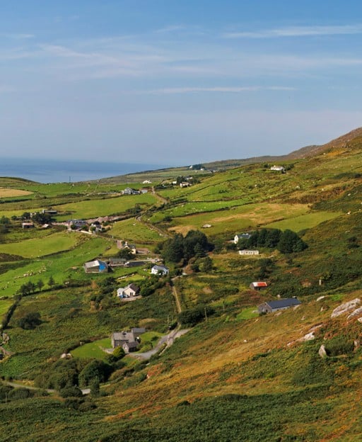 The Unbreakable Bond: The Celtic Symbol for Mother and Son