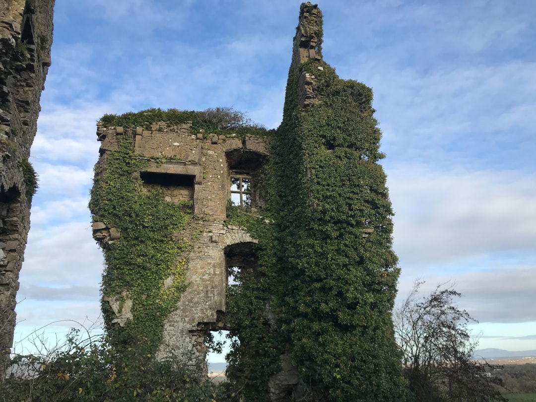 Adare Manor and Beyond: Uncover Luxury and History in County Limerick&rsquo;s Hidden Gems