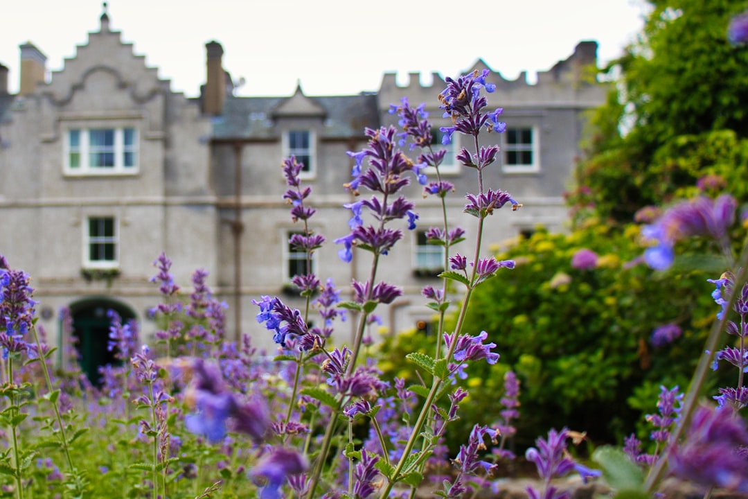 Ashford Castle in Mayo: Luxury in a Historic Setting
