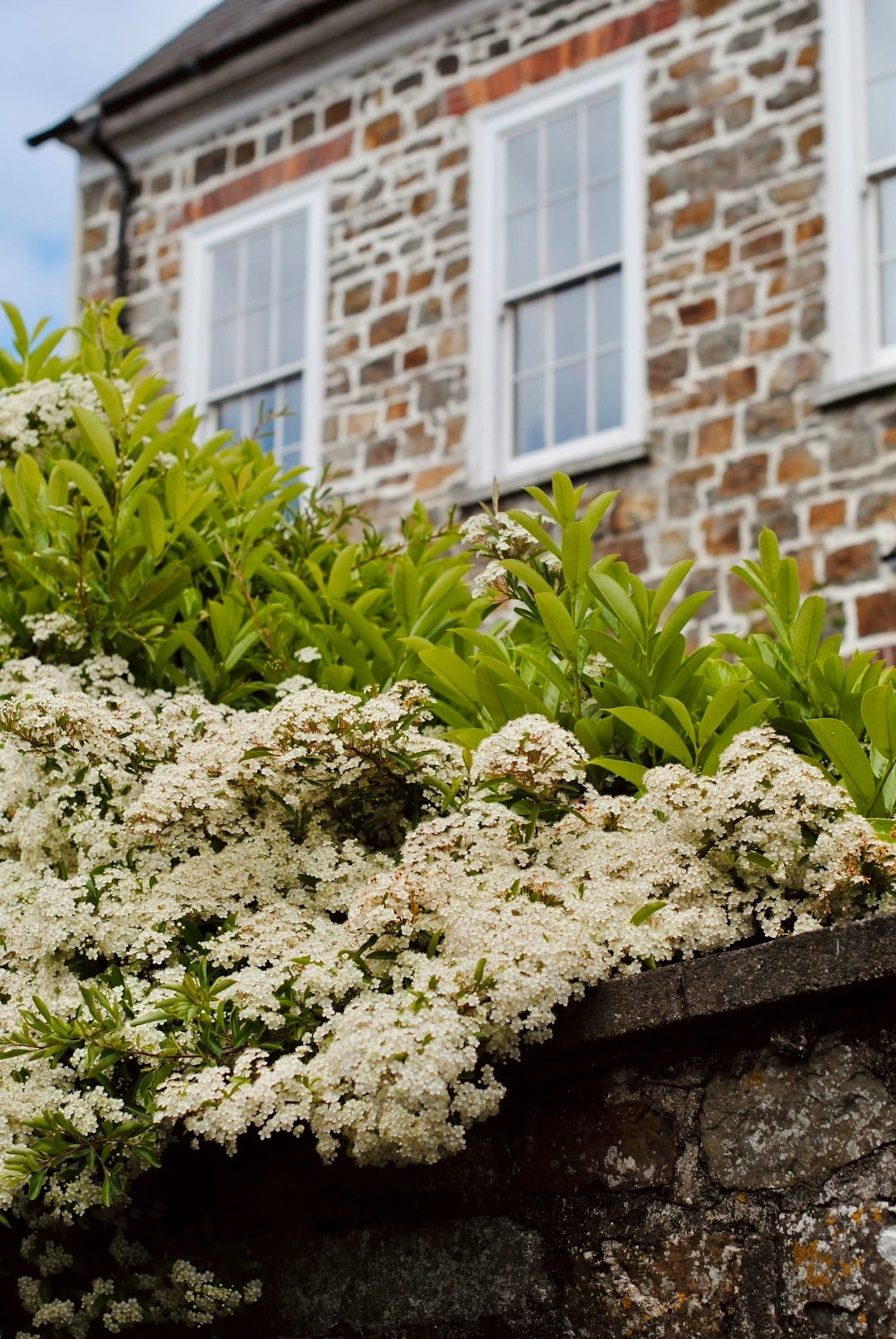 Bed and Breakfast in Kinsale: Cozy Stays in a Historic Town