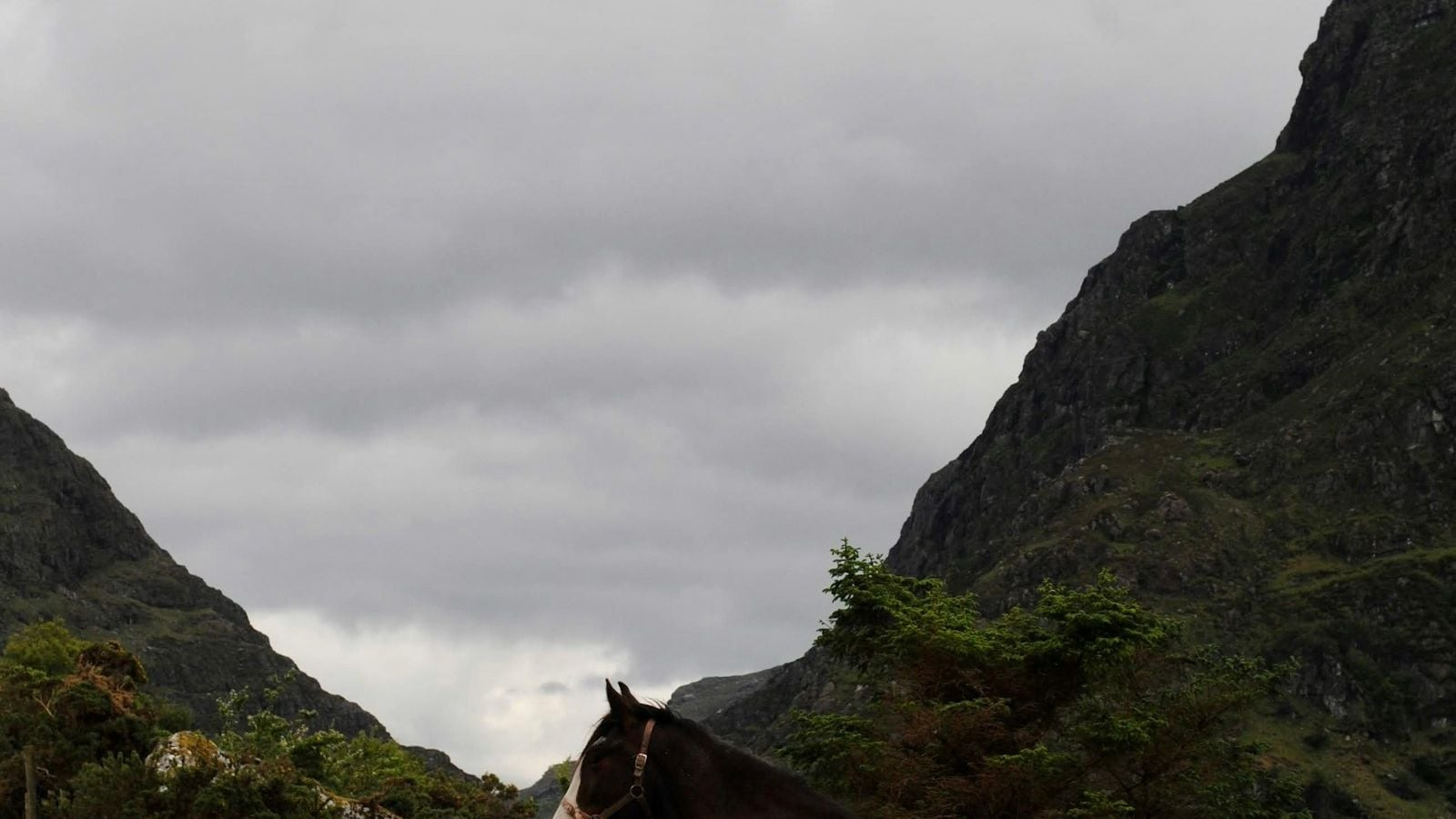 A dark horse standing in a dramatic Irish mountain valley, embodying the ancient Irish p&uacute;ca spirit