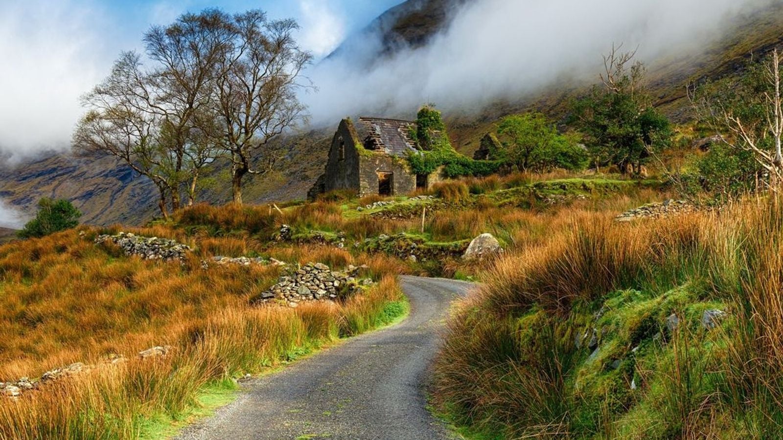 A misty Irish rural landscape showing an abandoned stone cottage ruin along a winding road in the Black Valley, County Kerry