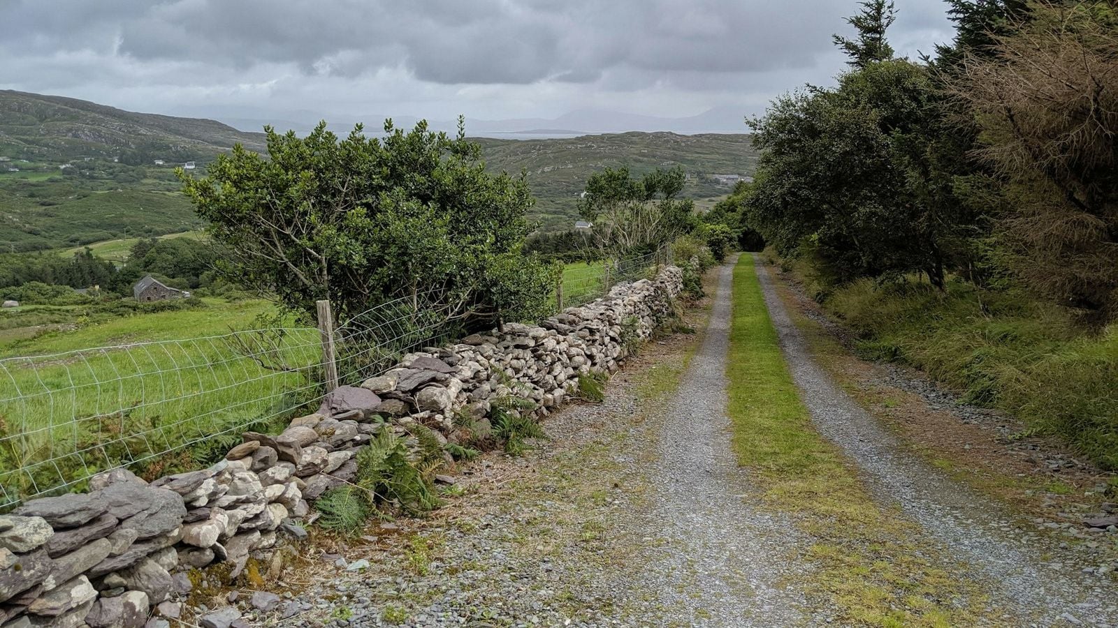 A quiet country lane lined with dry stone walls in rural Ireland under a cloudy sky
