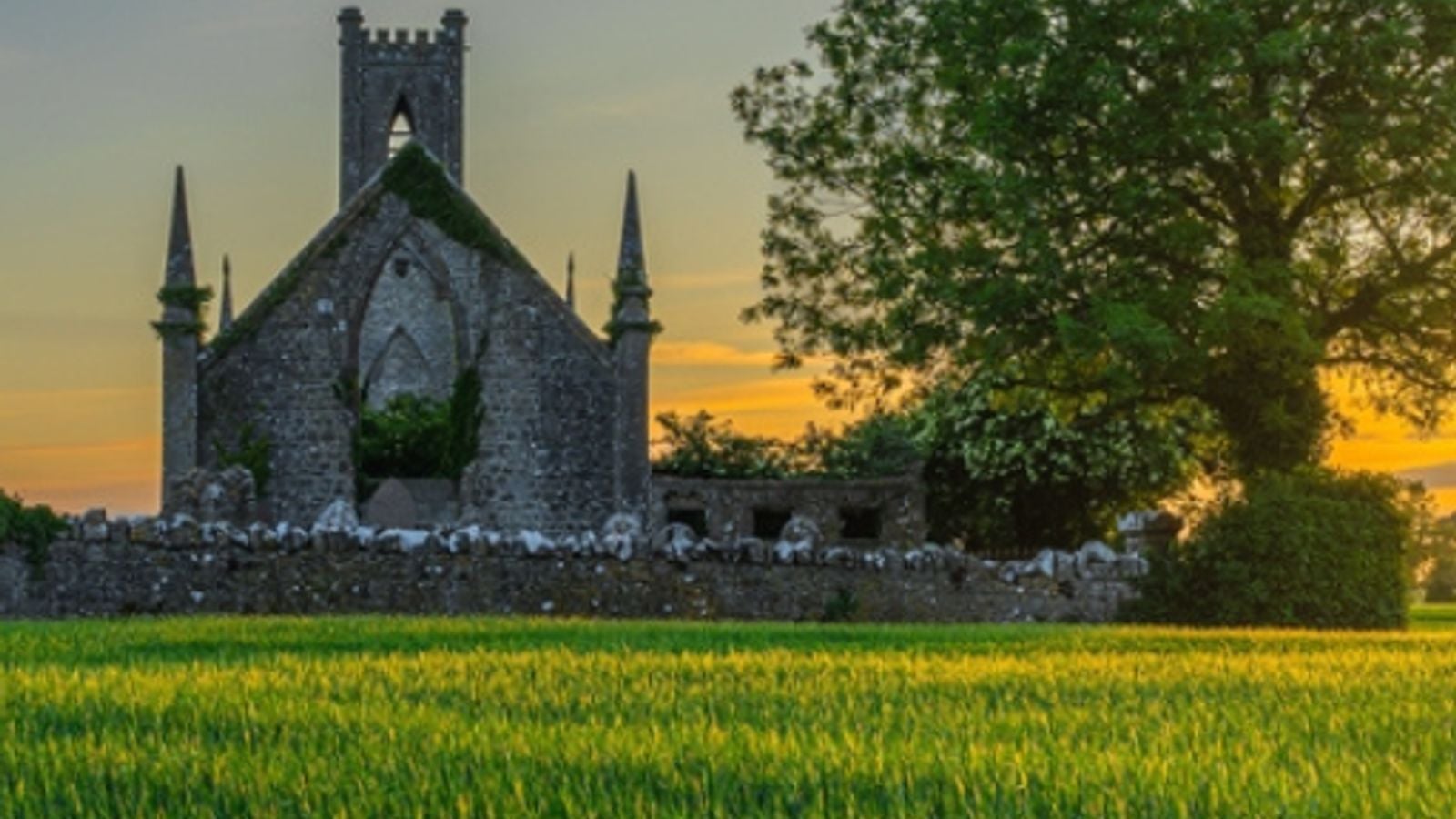 An old stone church ruin standing in a lush green Irish field at sunset, surrounded by grassland
