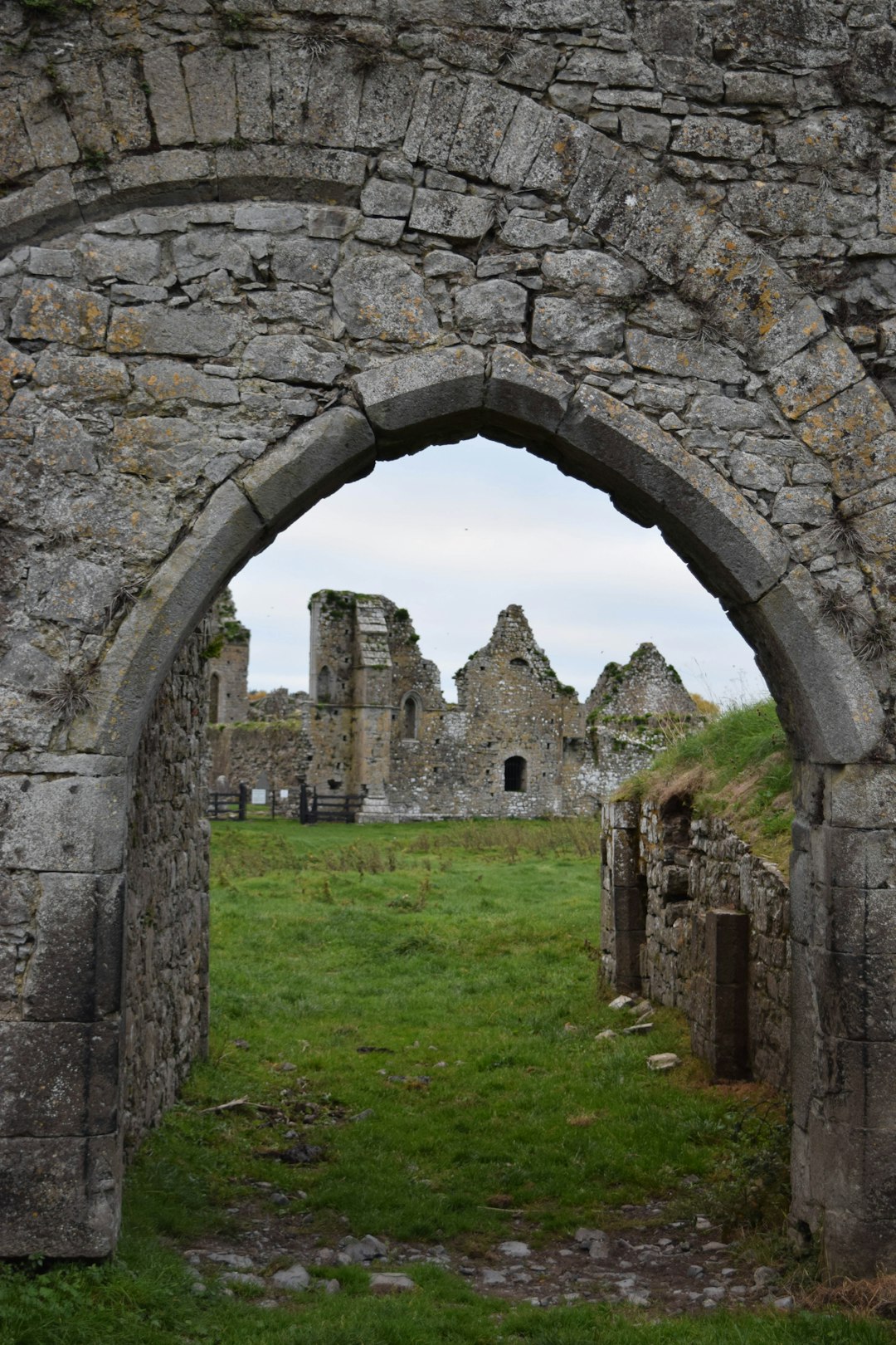 Discover Quin Abbey in Ennis: A Monument of Serene Beauty