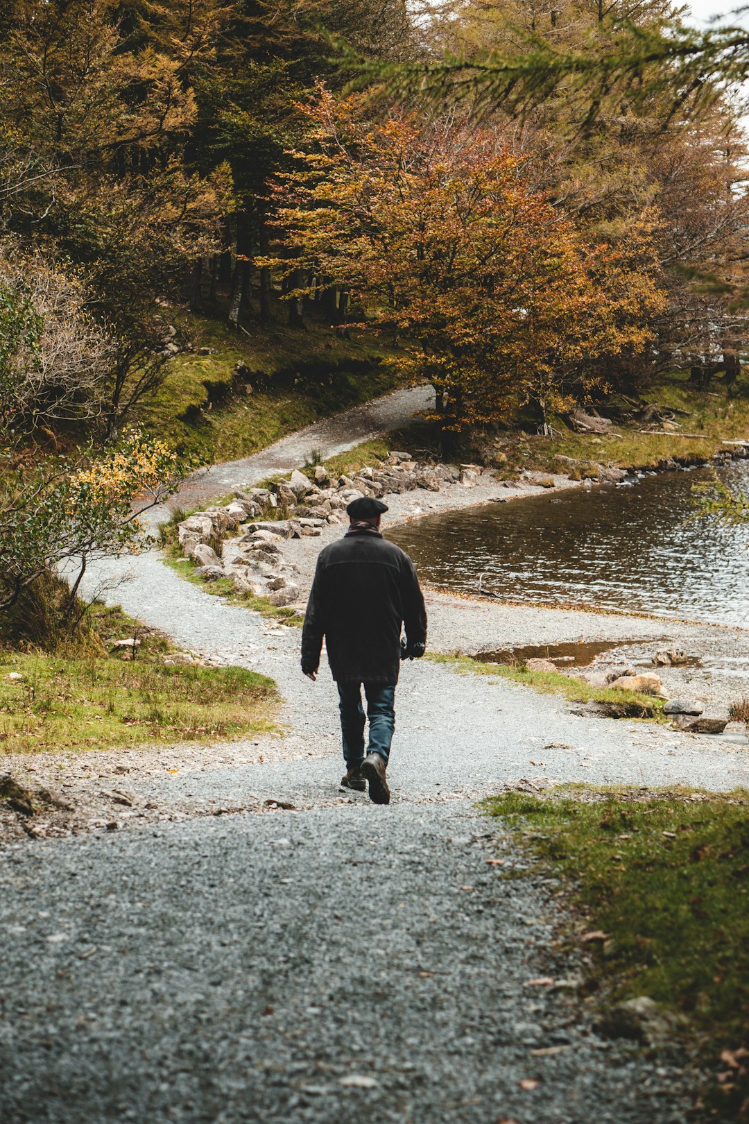 Discover the Greenway: A Scenic Walk Along Blessington Lakes