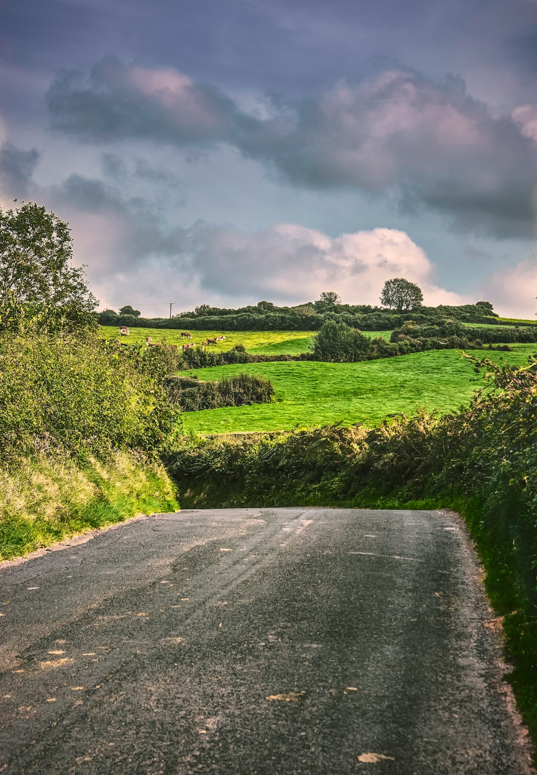 Do You Really Love Ireland? Take Our Free Daily Quiz and Prove It