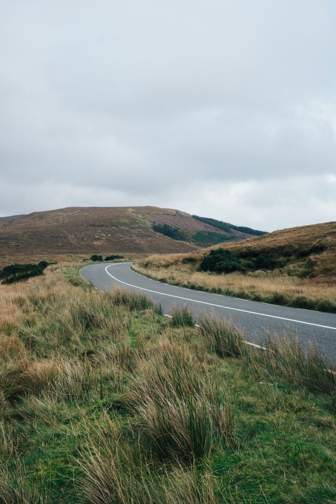 Erris Head Loop Walk: A Scenic Exploration