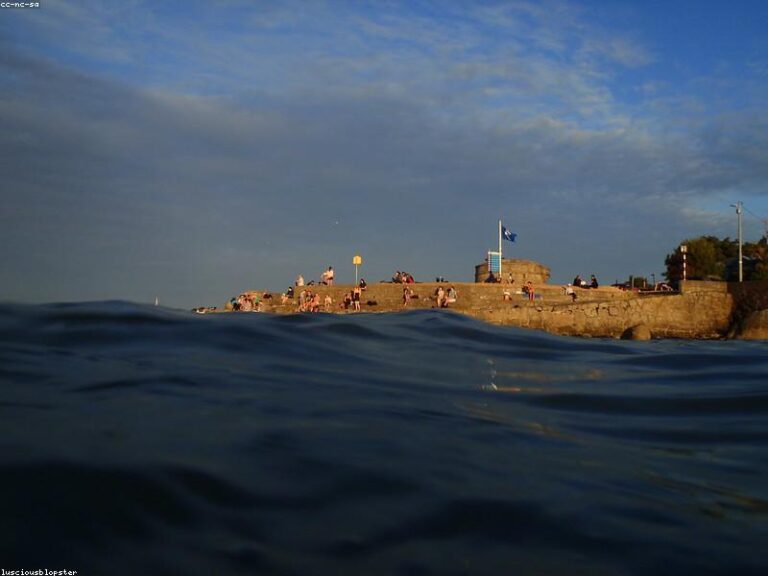 Forty Foot Sea Swimming