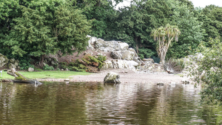 Fota Wildlife Park