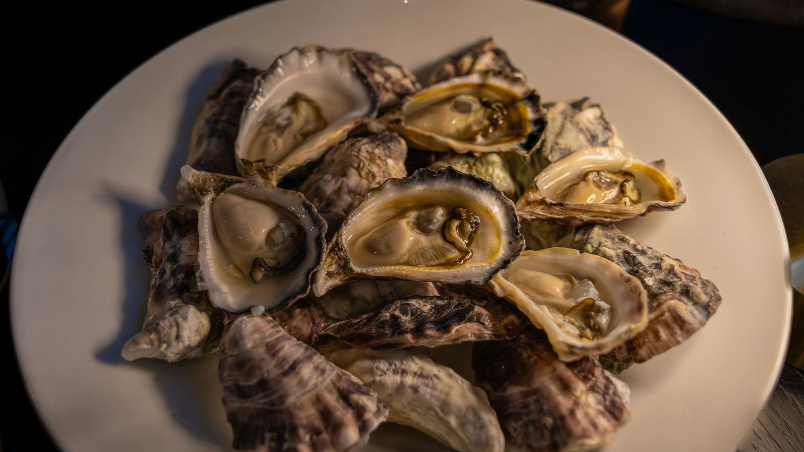 A plate of freshly shucked Irish oysters on the half shell with lemon, Galway Bay