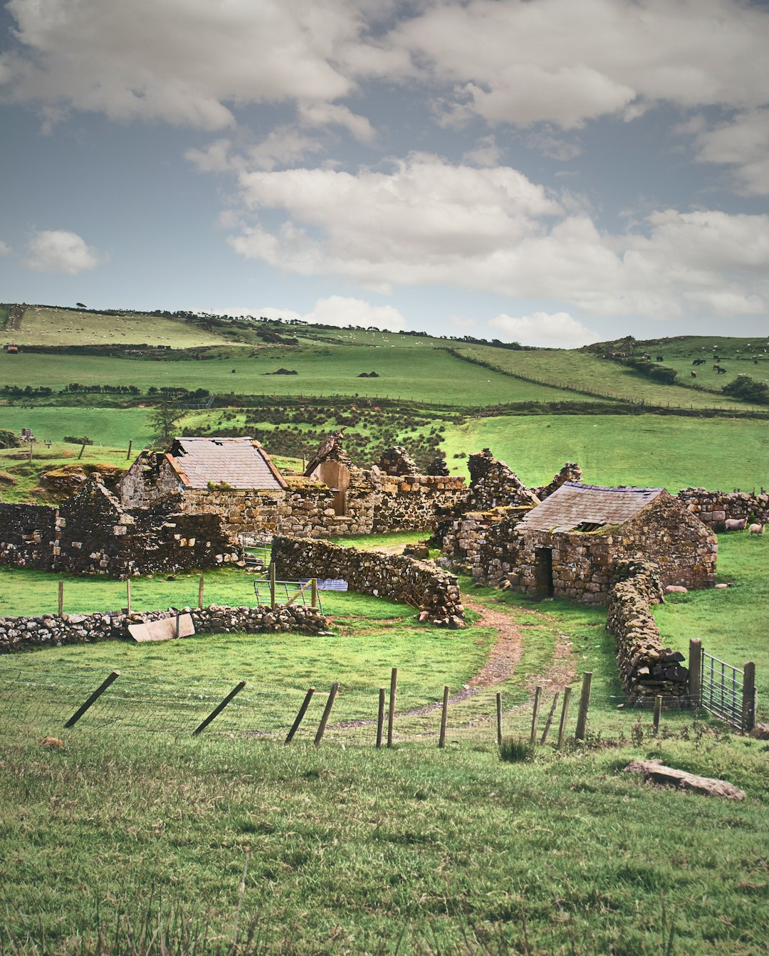 How to Move to Ireland and Start a New Life: Everything You Need to Know
