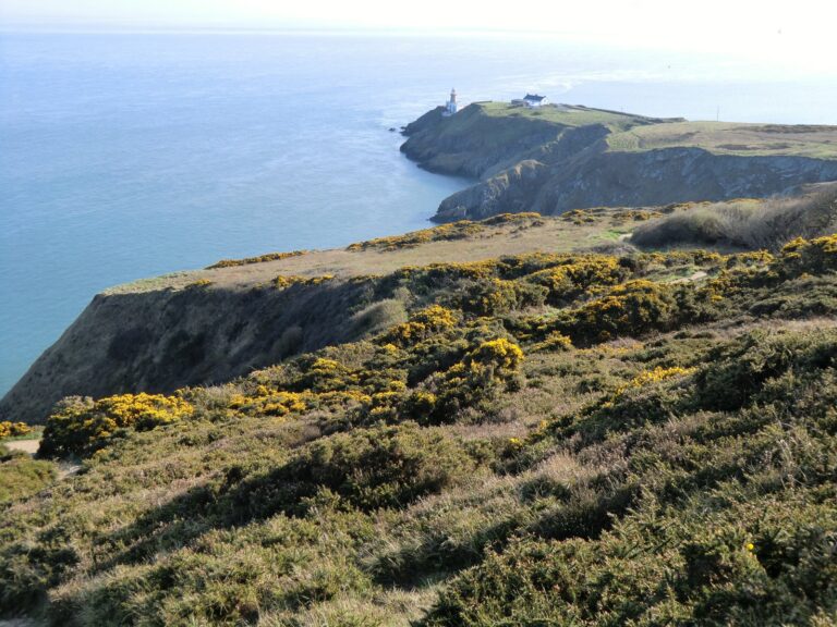 Howth Cliff Walk