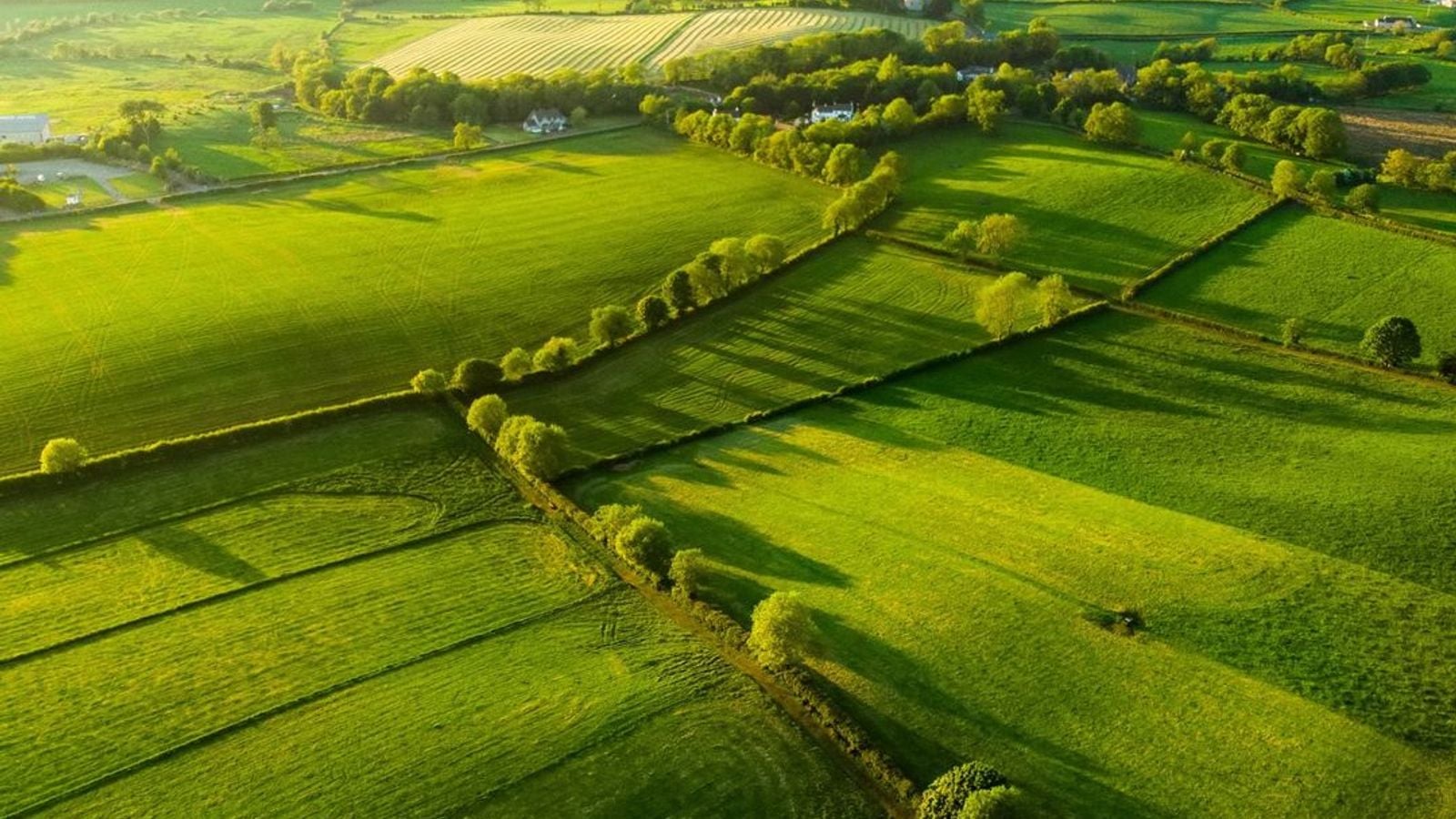 Aerial view of Irish farmland showing patchwork of green fields and hedgerows