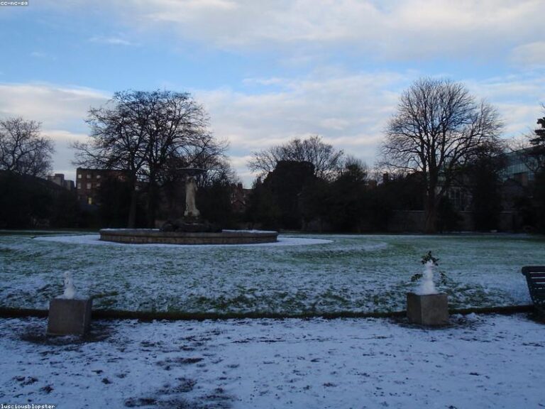 Iveagh Gardens