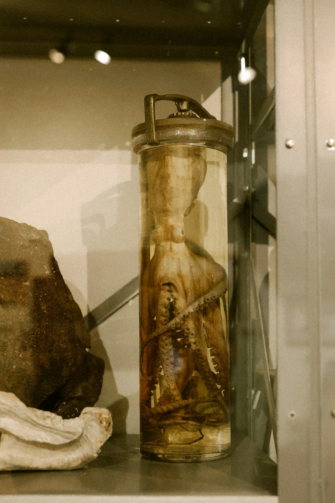 The 2,000-Year-Old Man Found in an Irish Bog &mdash; With His Hair Gel Still In Place