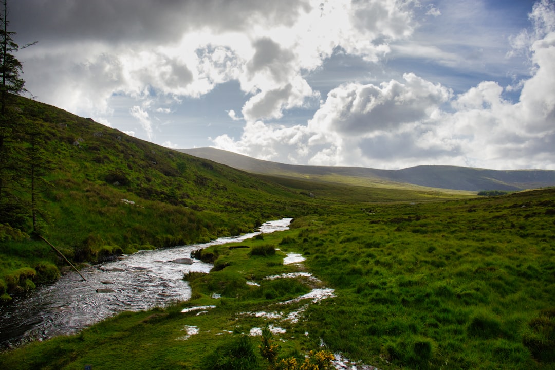 The Best Walks in Wicklow: Trails for Every Adventurer