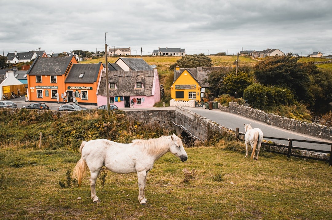 The Hidden Language Inside Irish Place Names That Tourists Walk Right Past