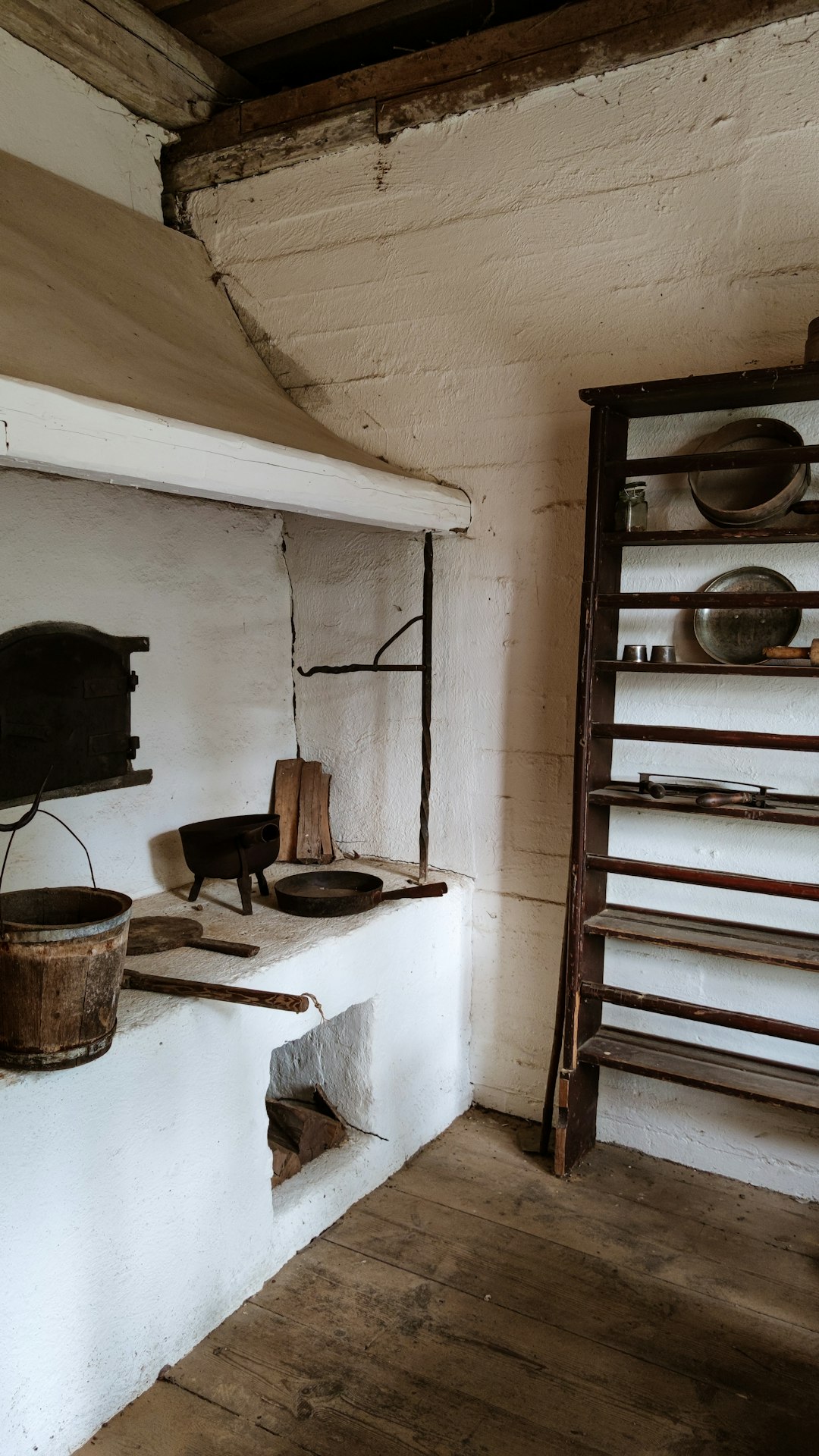 The Person Every Irish Household Fed for Free &mdash; and What They Got in Return