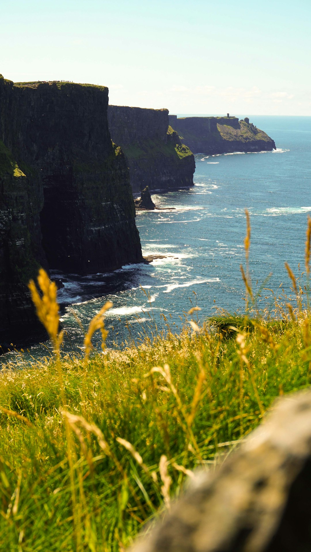 Dramatic dark sea cliffs with green grass foreground and turquoise ocean beyond