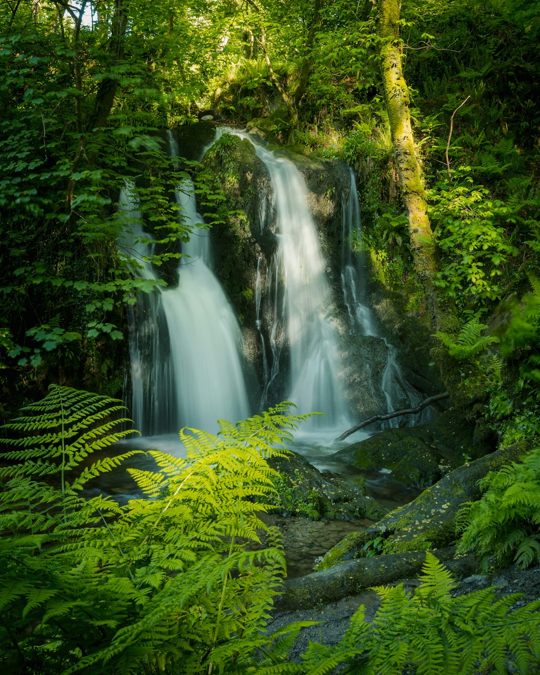 Tourmakeady Waterfall Walk: A Hidden Gem in Mayo