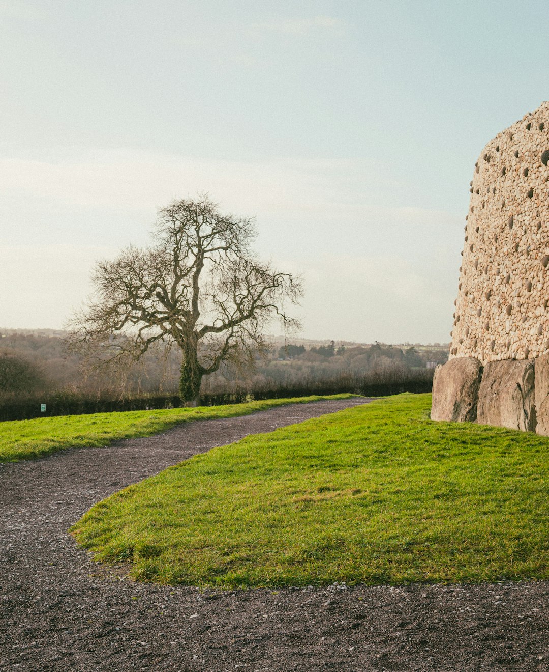 Why Every Field in Ireland Has a Secret Name &mdash; and Why It Still Matters