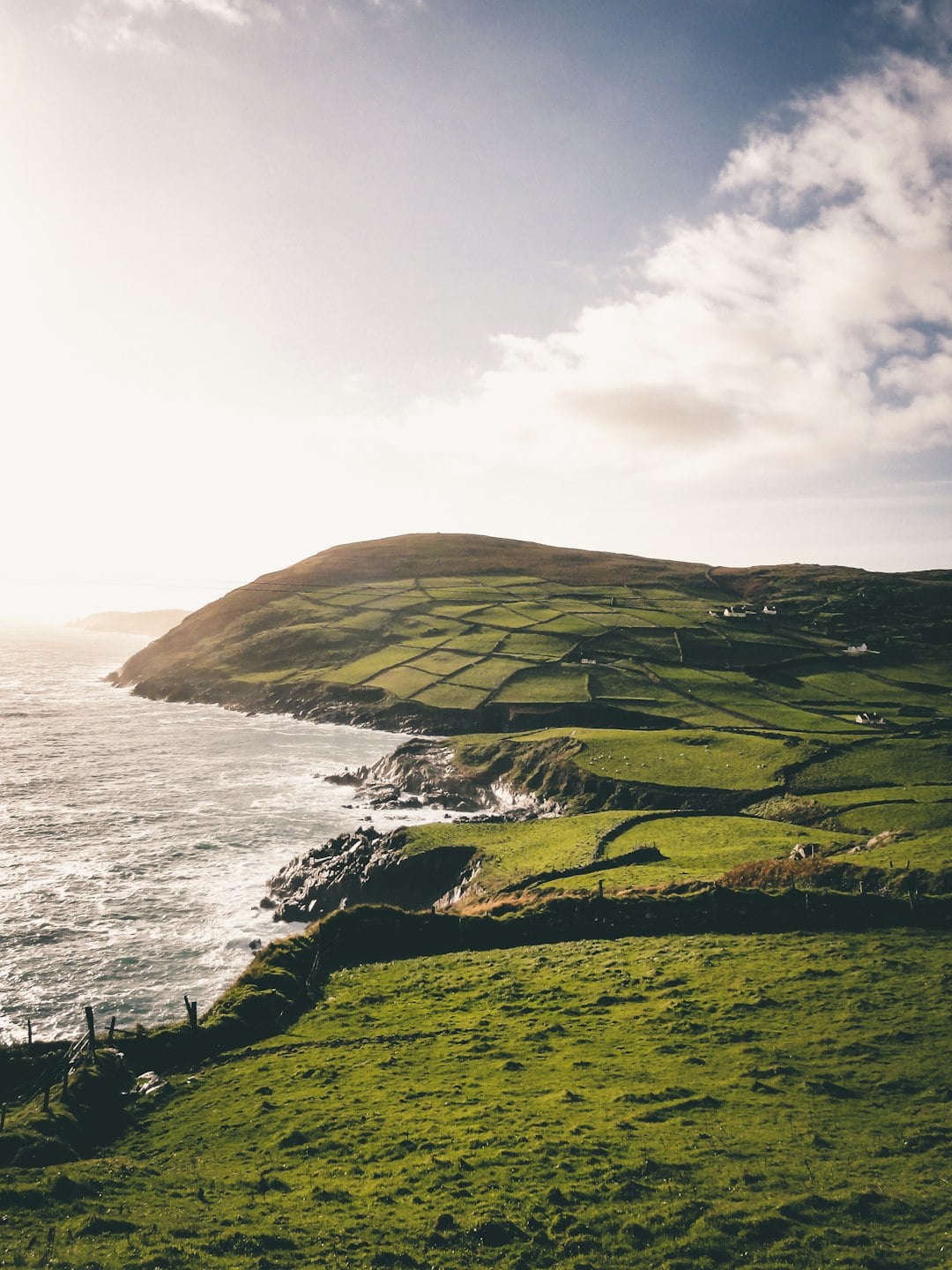 Why Every Irish Person Knows at Least a C&uacute;pla Focal &mdash; and What That Really Means